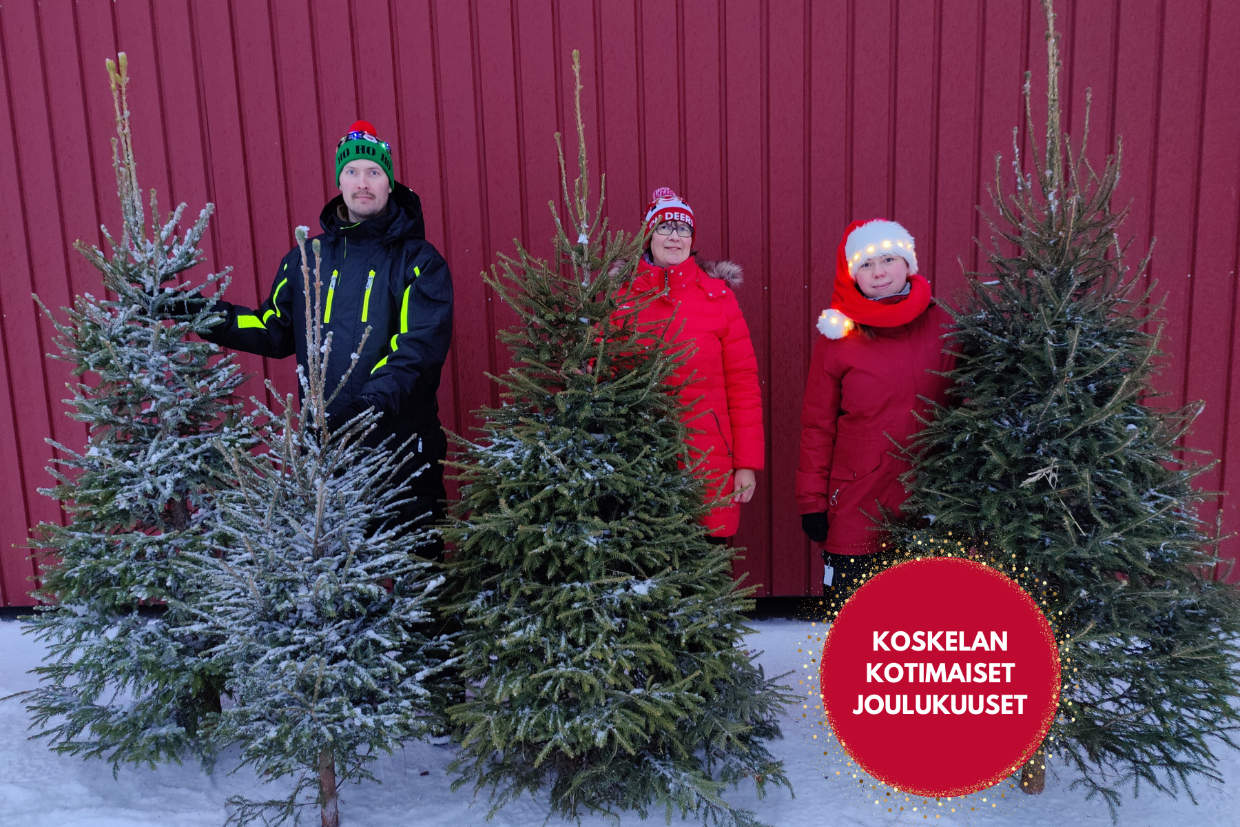 Koskelan kotimaiset joulukuuset