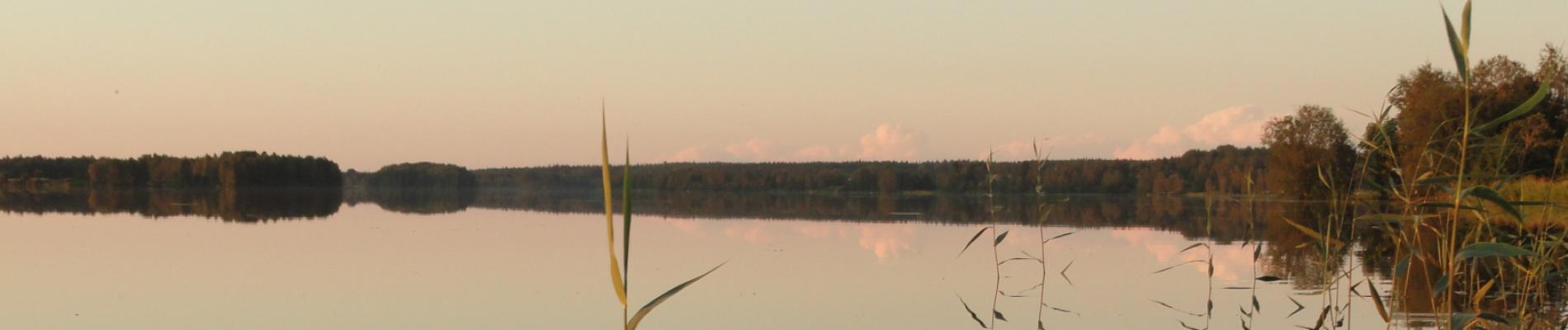 Piipsjärvi