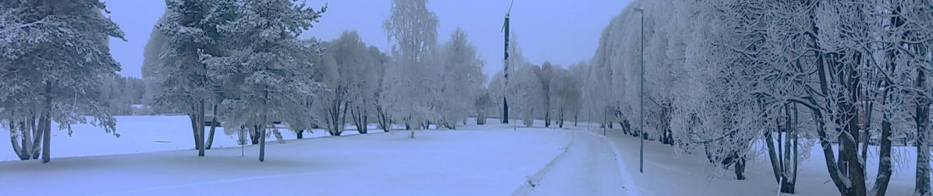 talvipuisto