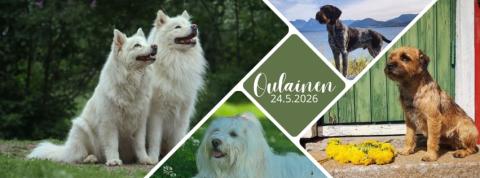 Oulaisten koiranäyttely 24.5.2026