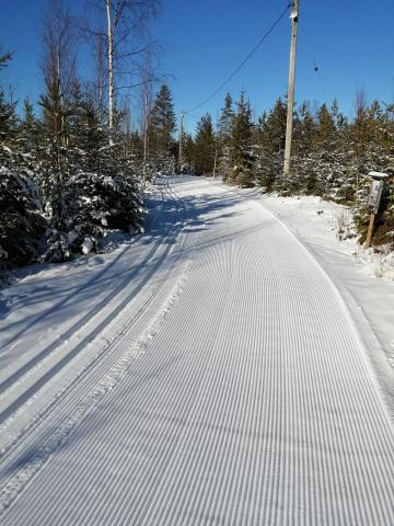 Mäyrän hiihdot