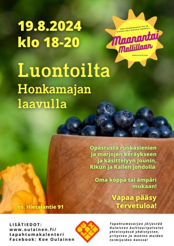 Maanantai Mallillaan: Luontoilta Honkamajan laavulla