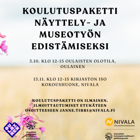 museokoulutus