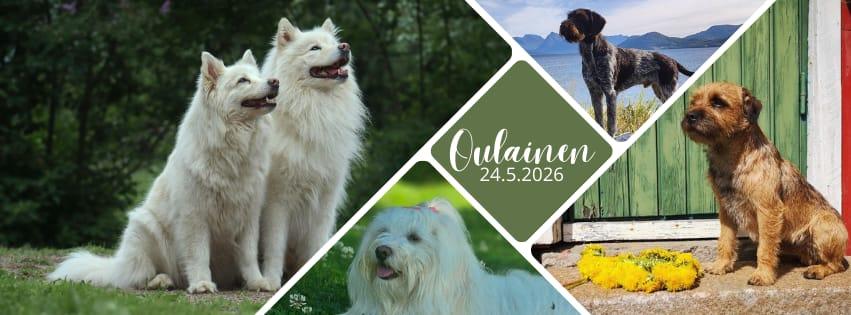 Oulaisten koiranäyttely 24.5.2026