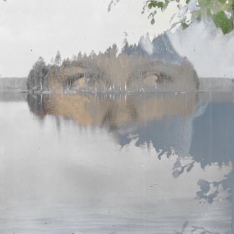 Puut ovat täynnä lapsia